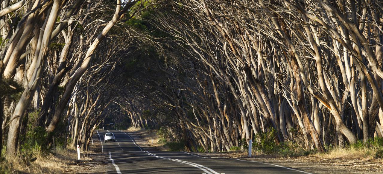 Mercure Kangaroo Island Lodge American River Luaran gambar